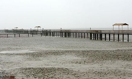 向Epic Games发送死亡威胁的美国19岁青年认罪